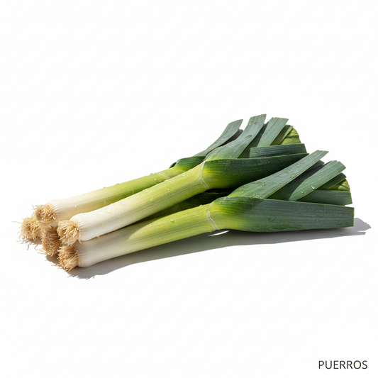 Puerros real, sobre fondo blanco y en formato 1:1